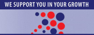 IT Consulting company Sydney - Contact us for more information about our computer and IT support services. We provide computer services and IT solutions in the Sydney area, including Sydney CBD, North Sydney, Eastern Suburbs, Bondi Junction and Randwick.